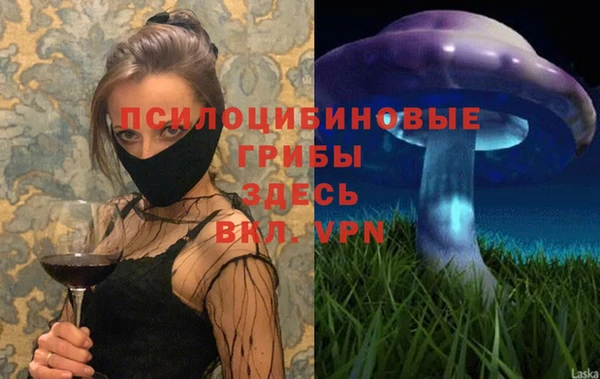 герыч Инсар