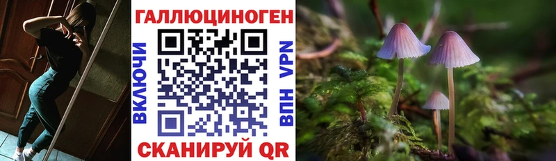 Купить где  Калининск  Галлюциногенные грибы GOLDEN TEACHER 
